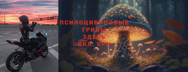 твердый Армянск