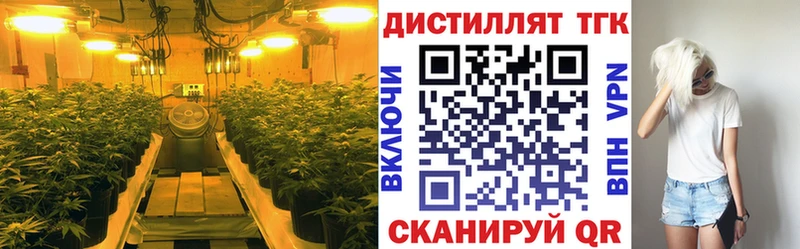 ТГК концентрат  Кашин 