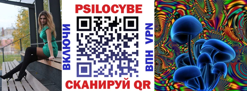 даркнет сайт  Кашин  ОМГ ОМГ   Галлюциногенные грибы мухоморы 